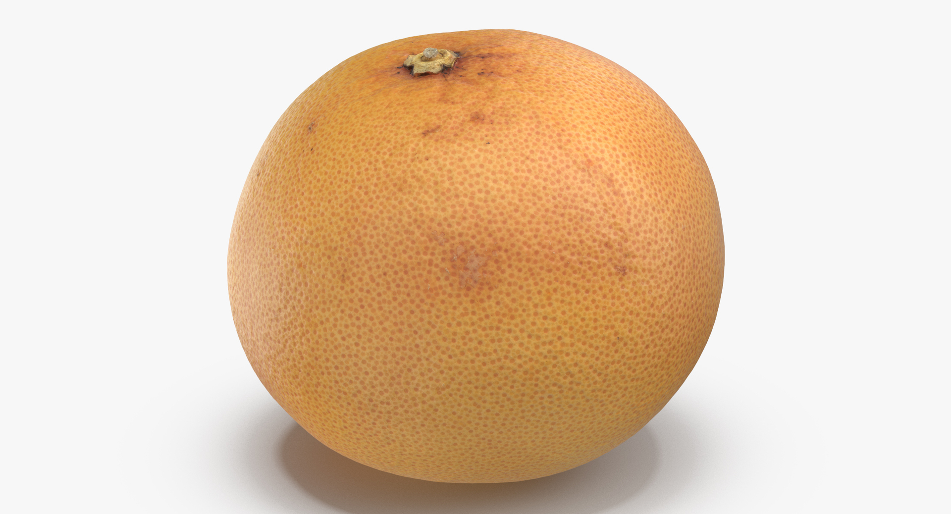 3D grapefruits oranges model https://p.turbosquid.com/ts-thumb/rA/AcTrhR/mlKgDtSR/0000/jpg/1573477354/1920x1080/turn_fit_q99/fd98ad2bfeb740881193ca2773c738e2c607621e/0000-1.jpg