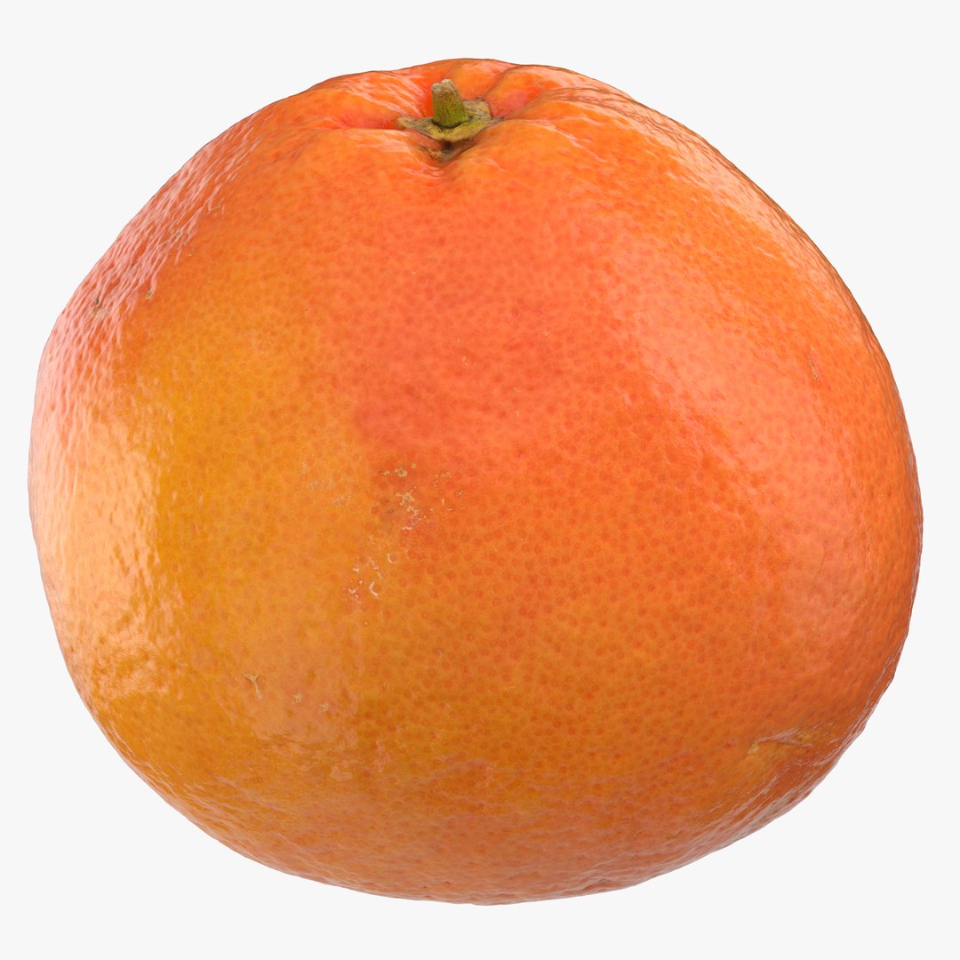 3D grapefruits oranges model https://p.turbosquid.com/ts-thumb/rA/AcTrhR/yfIH6eoE/grapefruit_03_thumbnail_square_0000/jpg/1573477376/1920x1080/fit_q87/d19ca338a1624c758d968ddcdb32e6fb0ea241a1/grapefruit_03_thumbnail_square_0000.jpg