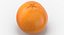 Colección de pomelos y naranjas