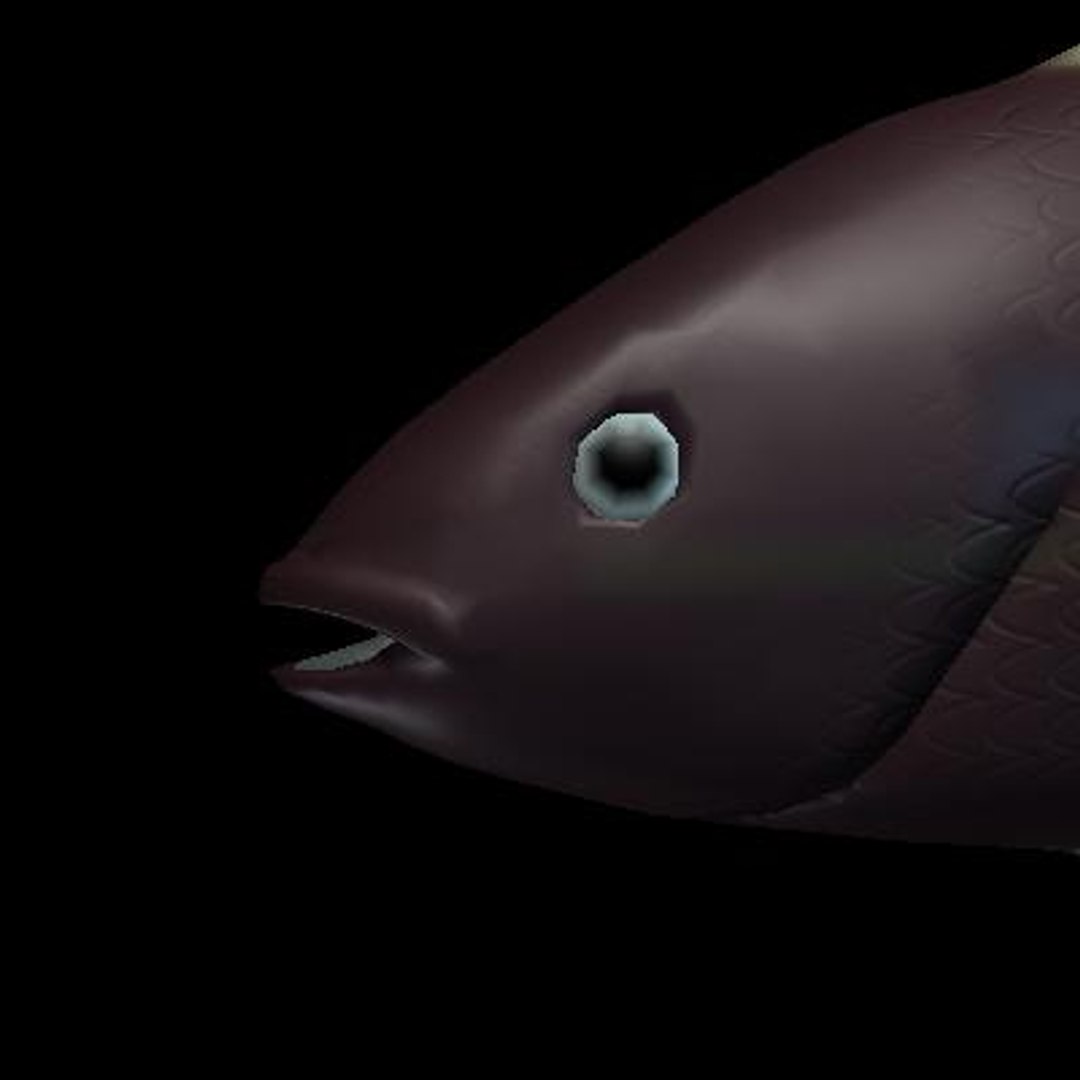 maya yellow tail snapper
