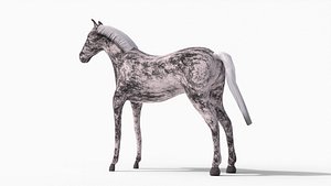 Low Poly Horse 3D Model