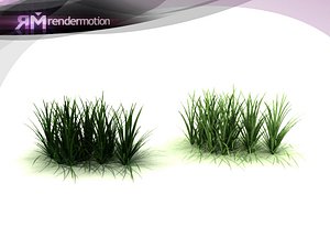 D2.C1.26 Lemongrass-Pasto Limon