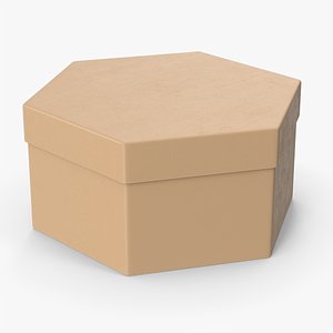 3D Hexagon Box model