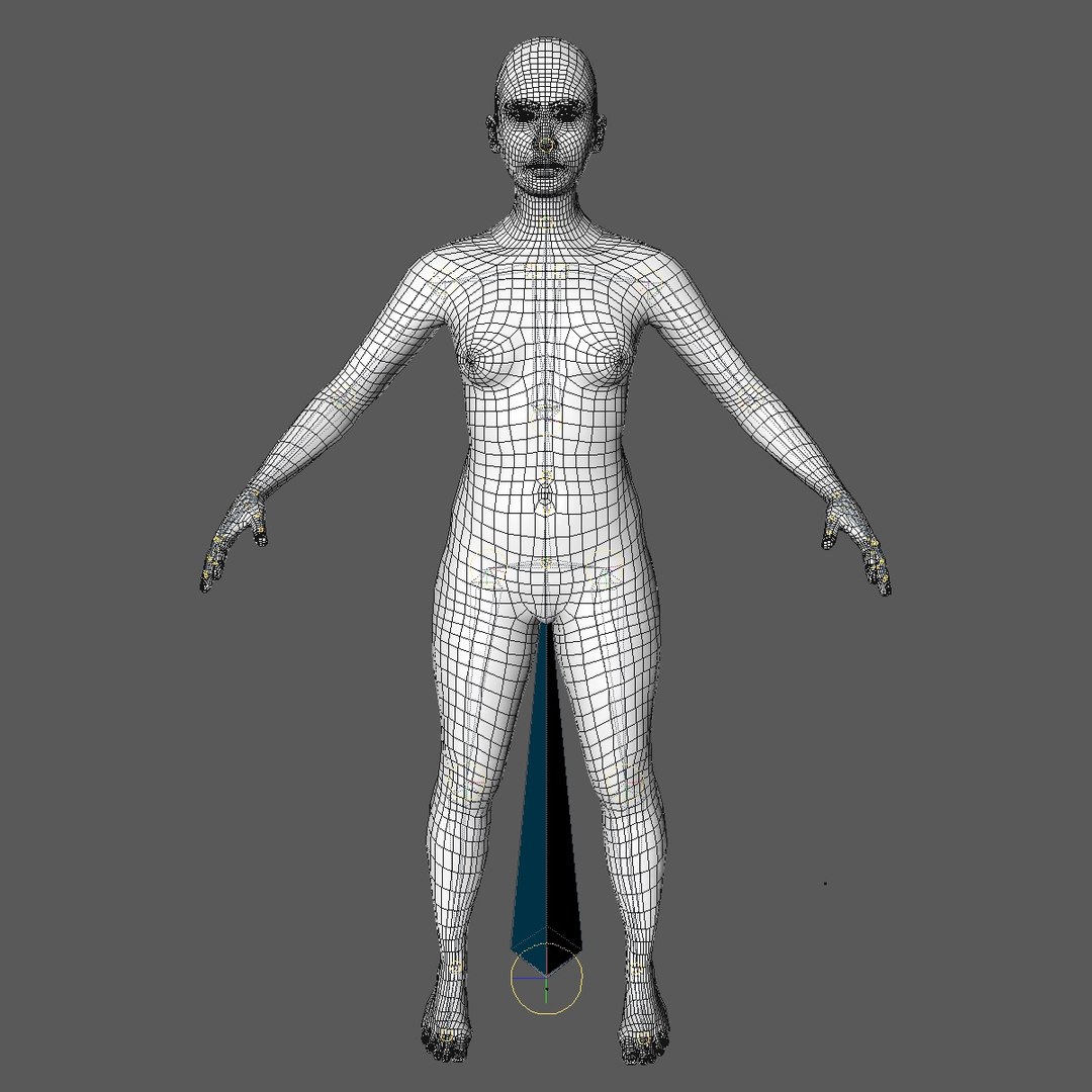 Realistic Human Body 25 3D Model - TurboSquid 1260209