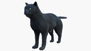 british cat model