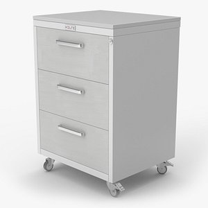 3D Wheeled Medical Storage Locker