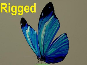 3dsmax butterfly