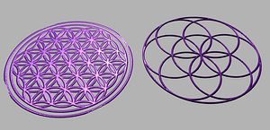 3D model flower seed life