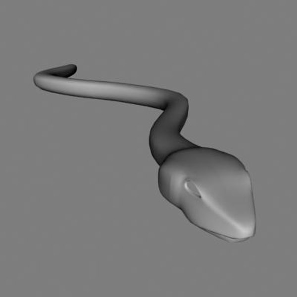 3d snake model