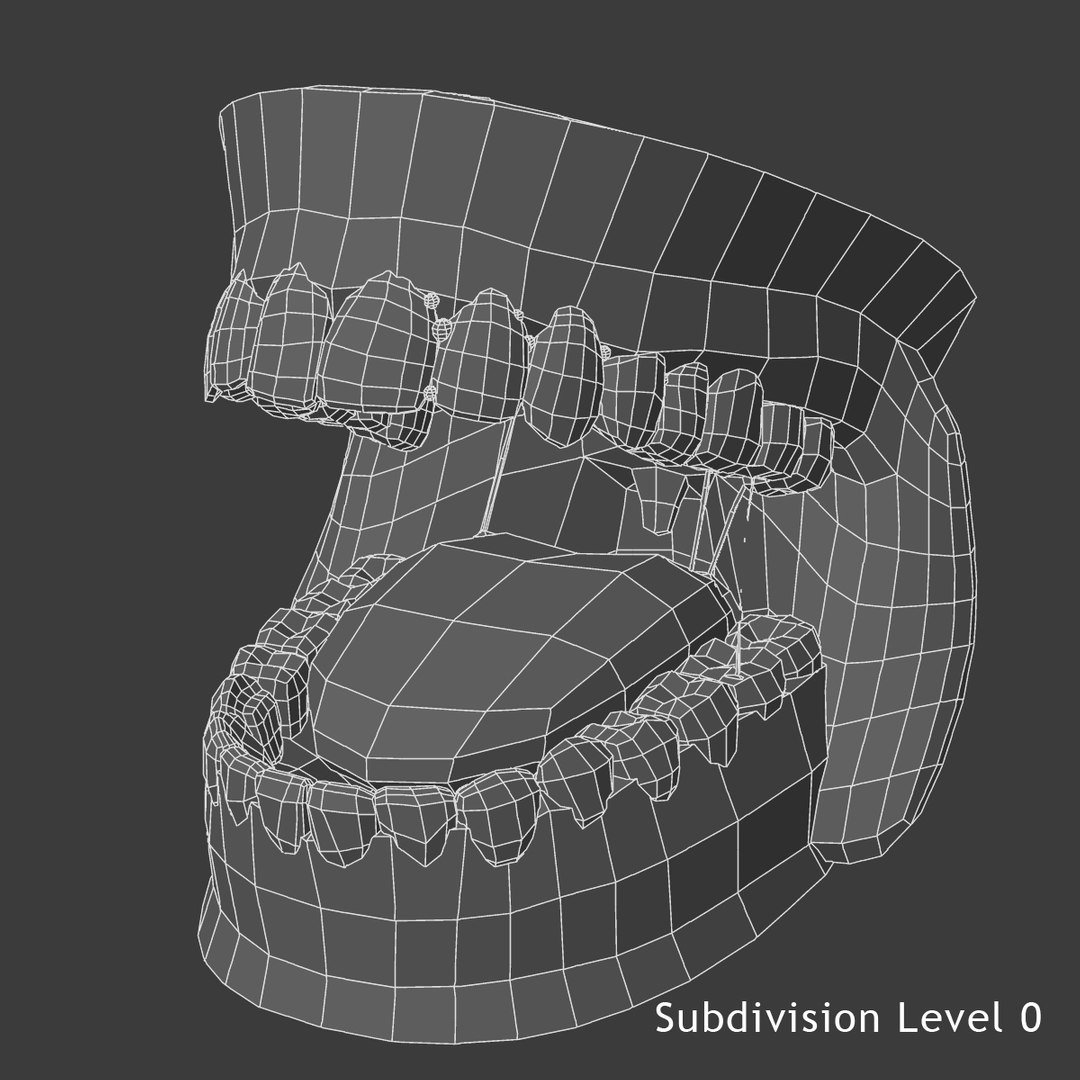 3d Teeth Gums Model