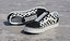Vans Old Skool  Collection