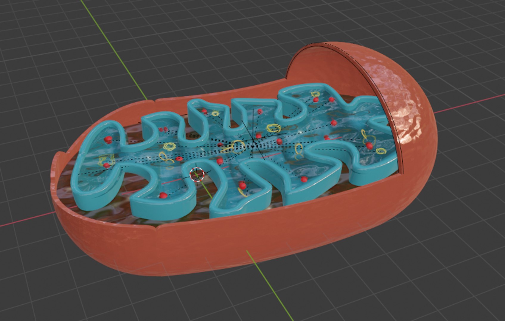 Mitochondria 3D model - TurboSquid 1806584