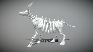 Bull Skeleton model