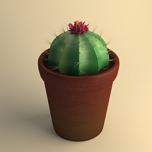 3d stylized potted cactus model