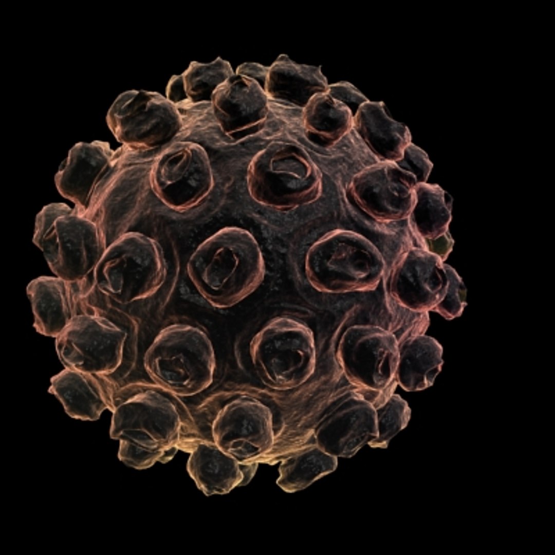 40 micro objects set max https://p.turbosquid.com/ts-thumb/rB/fzHxnh/FuZcB46J/measles/jpg/1214246063/1920x1080/fit_q87/a5814bec77a05c739ab82ab14dc0f19c492a4361/measles.jpg