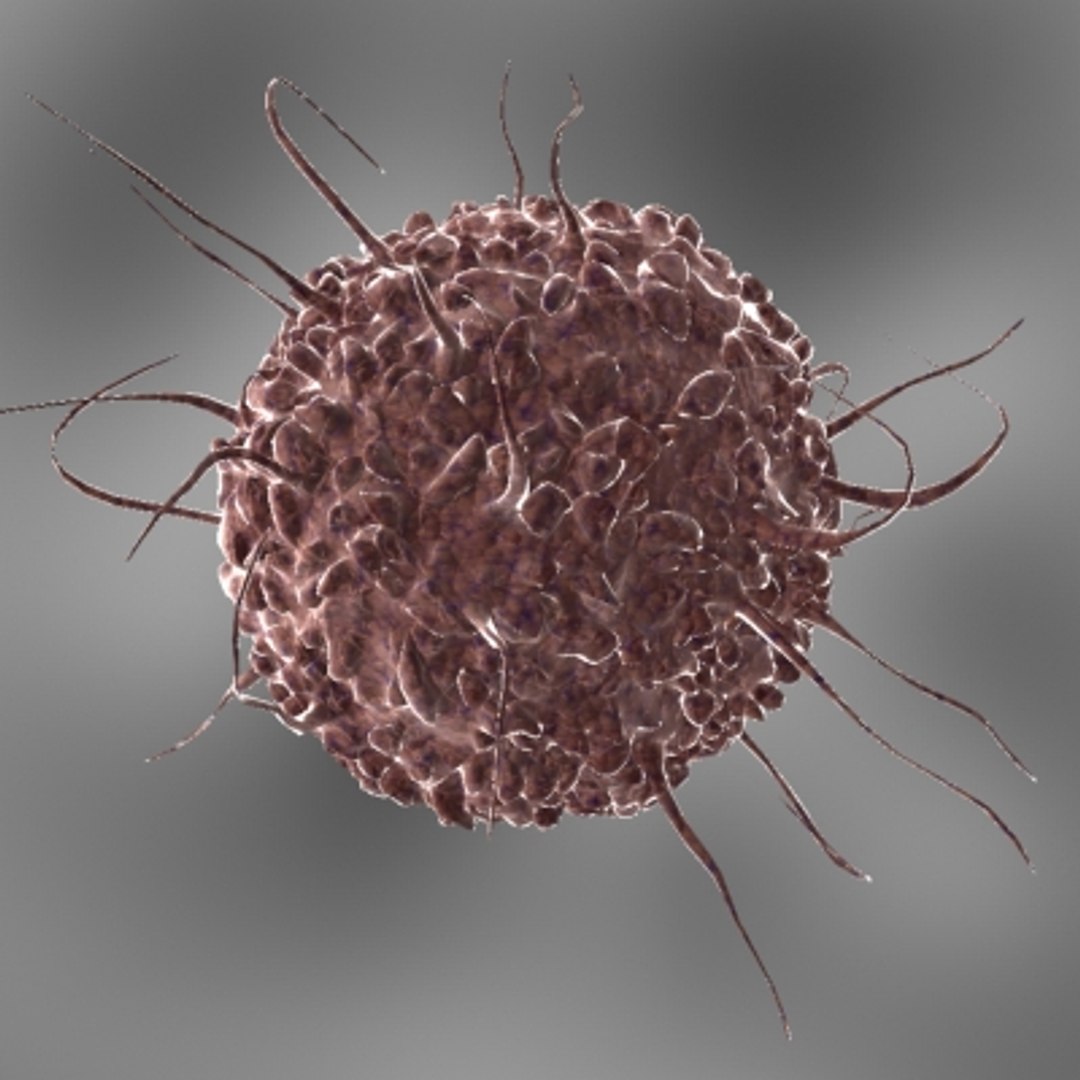 40 micro objects set max https://p.turbosquid.com/ts-thumb/rB/fzHxnh/NxkAJSnO/cancer/jpg/1214246068/1920x1080/fit_q87/37532fa3fc517f41f2a80059e30230b2af45d705/cancer.jpg