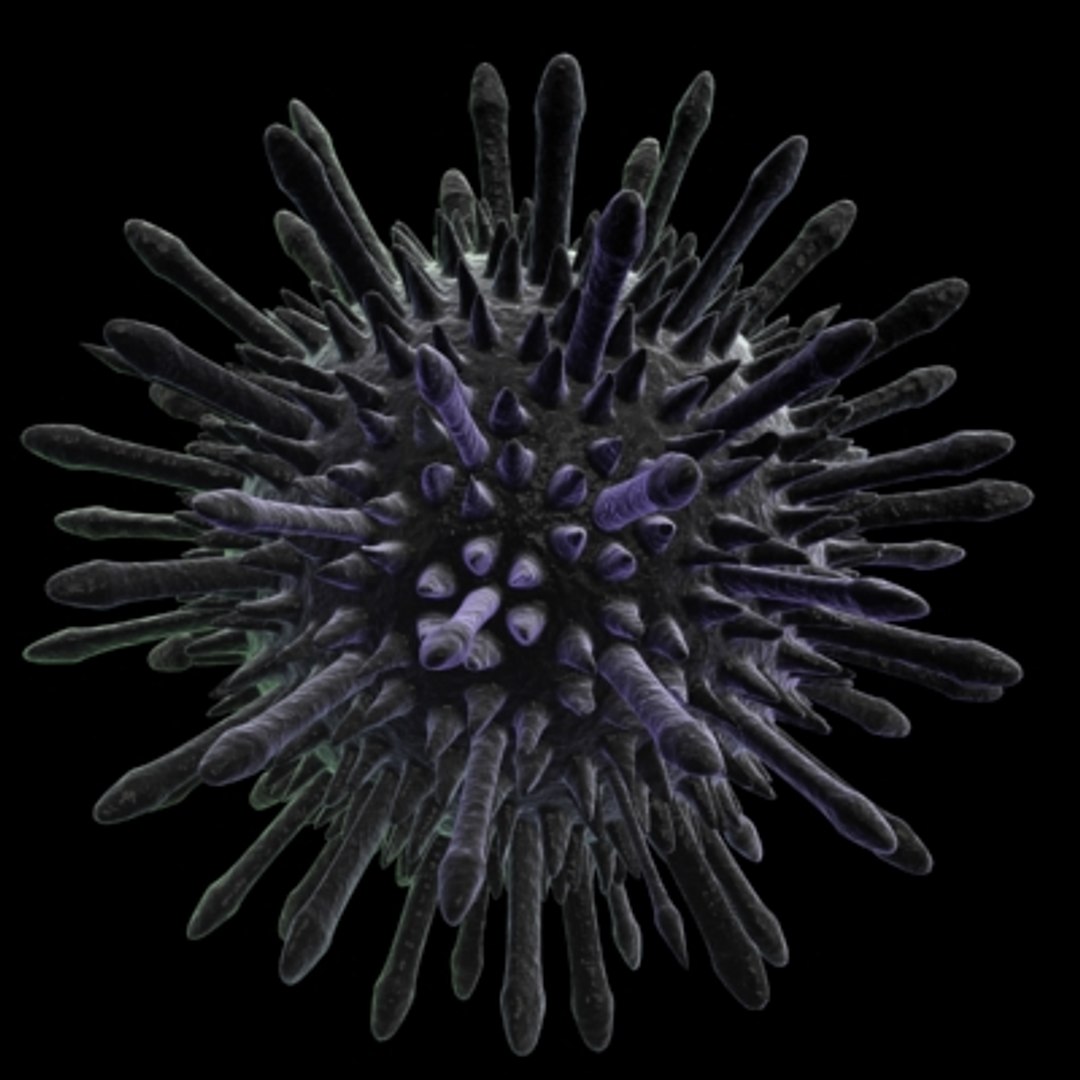 40 micro objects set max https://p.turbosquid.com/ts-thumb/rB/fzHxnh/PWtZDbPn/adenovirus/jpg/1214246039/1920x1080/fit_q87/686633d24907356a22704df1ee34822e2f366bf9/adenovirus.jpg