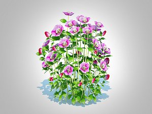 3D Helleborus orientalis - Lenten rosePink