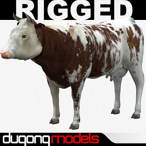 Cow 01