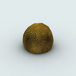 sea 3d max