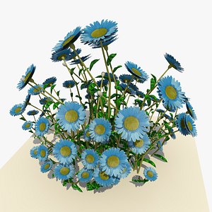 3d blue daisy flowers