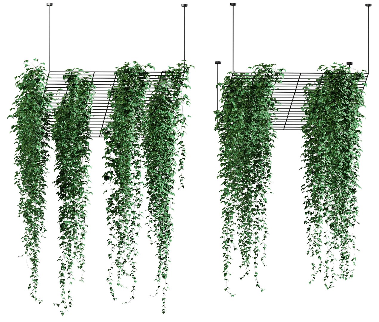 Ivyhangingfromtheceilingonatrellis6pack 3D model https://p.turbosquid.com/ts-thumb/rC/5c8Mxq/J8/ren_side/jpg/1617388857/1920x1080/fit_q87/6233367fe2bd2870e84e9b4f9c79483c39a80245/ren_side.jpg