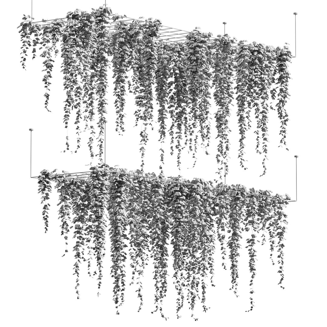 Ivyhangingfromtheceilingonatrellis6pack 3D model https://p.turbosquid.com/ts-thumb/rC/5c8Mxq/NR/wire/jpg/1617389061/1920x1080/fit_q87/334889ebda3e84110872f89bd15f272c30de02d3/wire.jpg