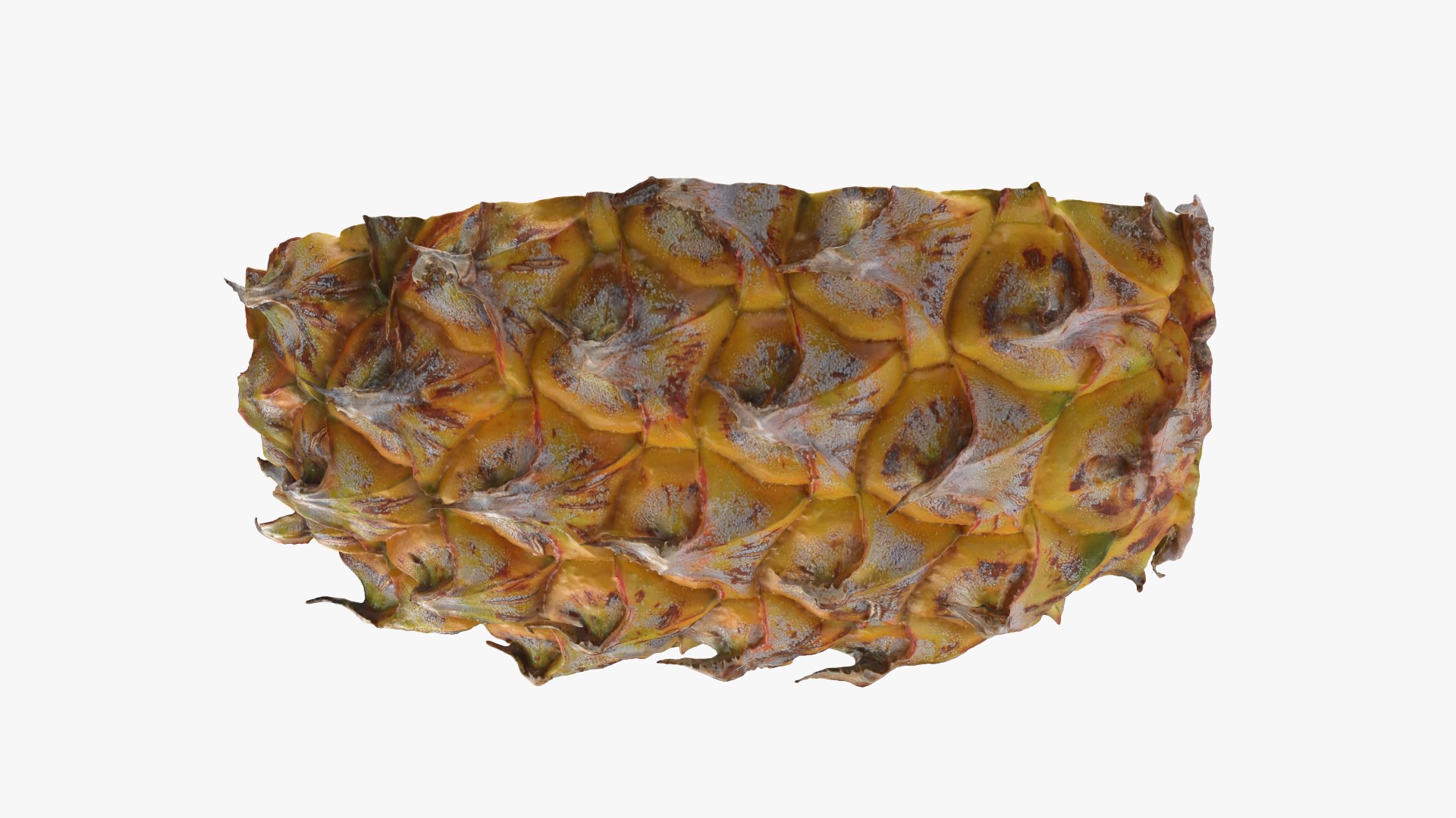 3D Pineapple Slice 01 https://p.turbosquid.com/ts-thumb/rC/9m57KH/D0/pineappleslice1_0008/png/1762785849/1920x1080/fit_q87/f2c5c89b790030a79989f28fef70944e3c149e5a/pineappleslice1_0008.jpg