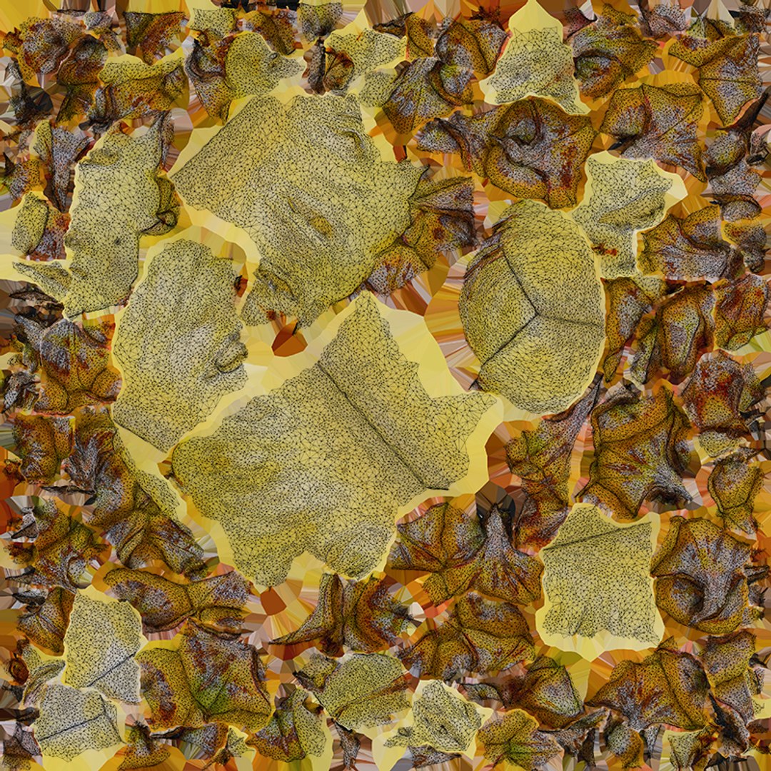 3D Pineapple Slice 01 https://p.turbosquid.com/ts-thumb/rC/9m57KH/Lo/pineappleslice1_c0004/png/1762785871/1920x1080/fit_q87/6d9e0dd160f8570ce5361a67caa0e9423298a782/pineappleslice1_c0004.jpg