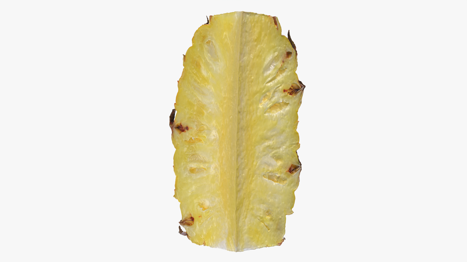 3D Pineapple Slice 01 https://p.turbosquid.com/ts-thumb/rC/9m57KH/Nc/pineappleslice1/png/1763113779/1920x1080/turn_fit_q99/fb18ed06a505630b22c8ba823ee091a2a4362908/pineappleslice1-1.jpg