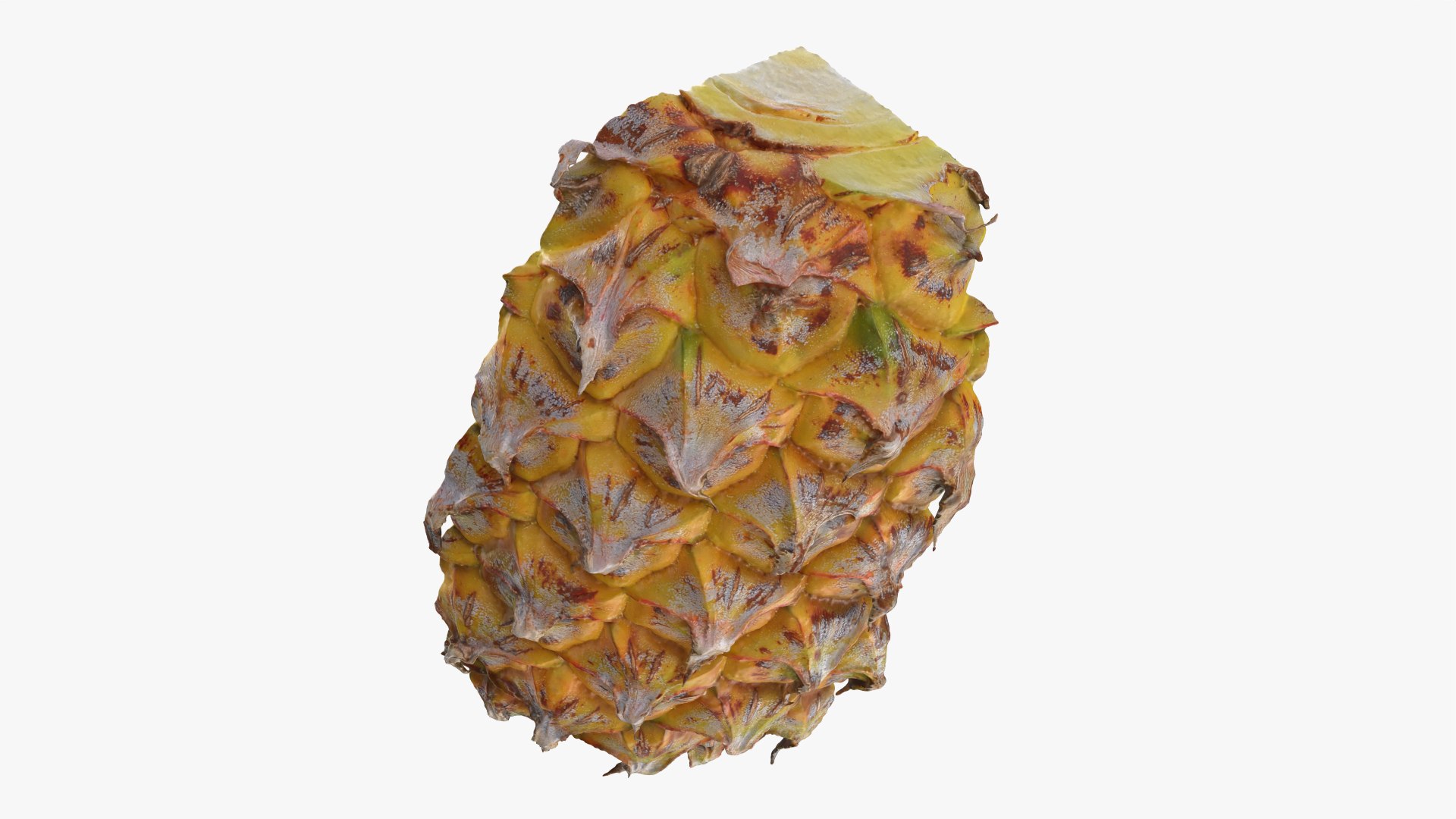 3D Pineapple Slice 01 https://p.turbosquid.com/ts-thumb/rC/9m57KH/Vm/pineappleslice1_0005/png/1762785824/1920x1080/fit_q87/625833aa3a55737a5f0deb060760c60e35ac40df/pineappleslice1_0005.jpg