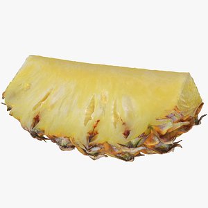3D Pineapple Slice 01