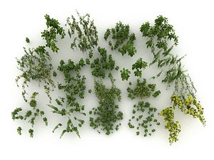 3D model nettle mega pack ecosystems