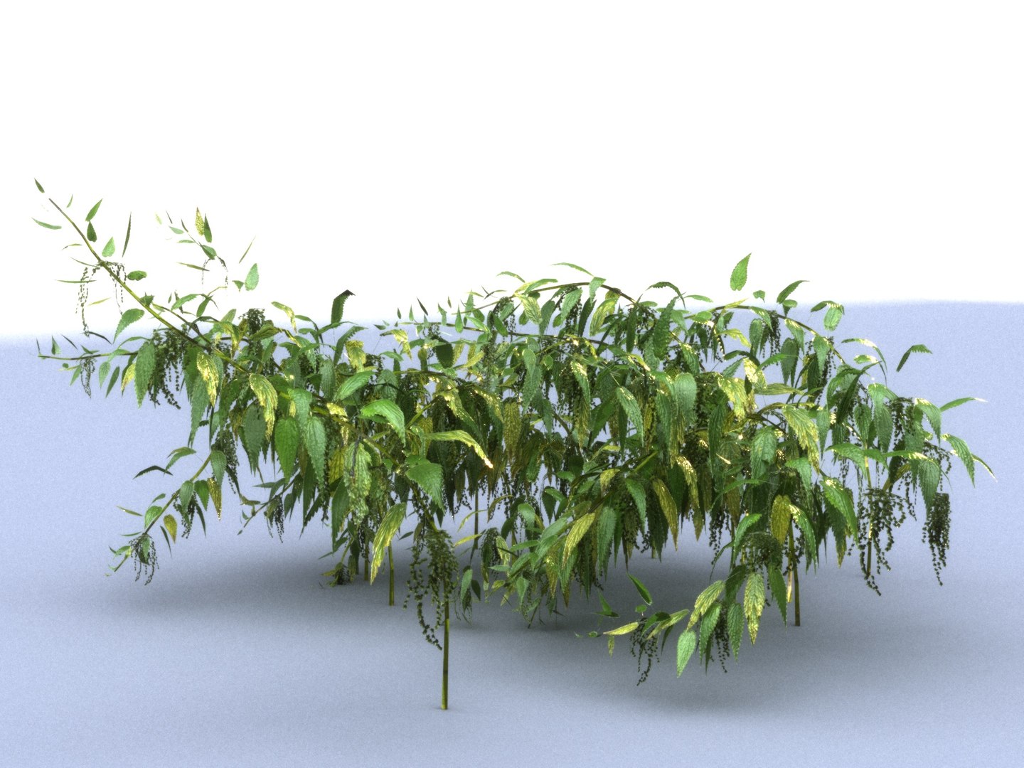 3D Model Nettle Mega Pack Ecosystems - TurboSquid 1312090