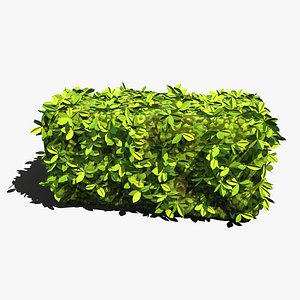 hedge stylized 3D model