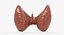 Follicular Cancer Thyroid