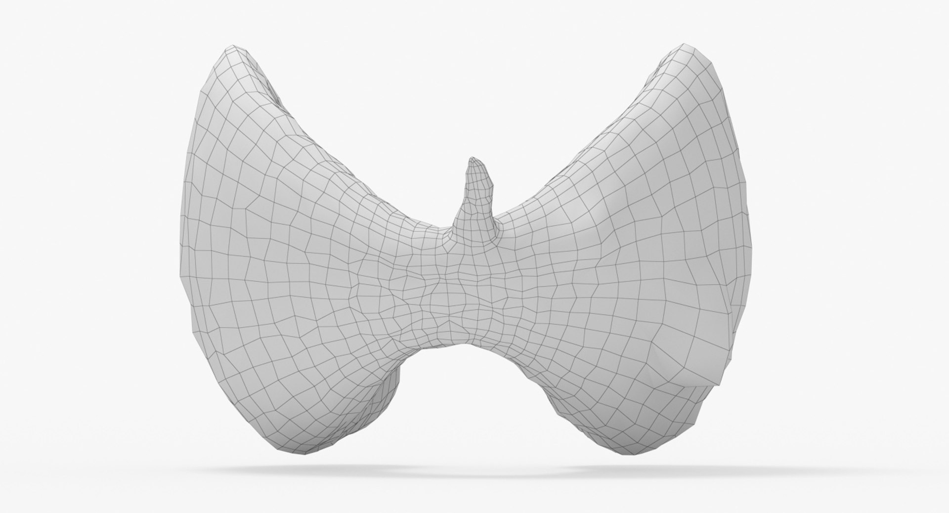 follicular cancer thyroid model https://p.turbosquid.com/ts-thumb/rC/VrYaYj/SGD2iU6s/21_front_view_wireframe/jpg/1546076951/1920x1080/fit_q87/1db7d7e5dc448d1fb2c72d464ef4ba2aac18b911/21_front_view_wireframe.jpg
