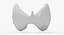 Follicular Cancer Thyroid