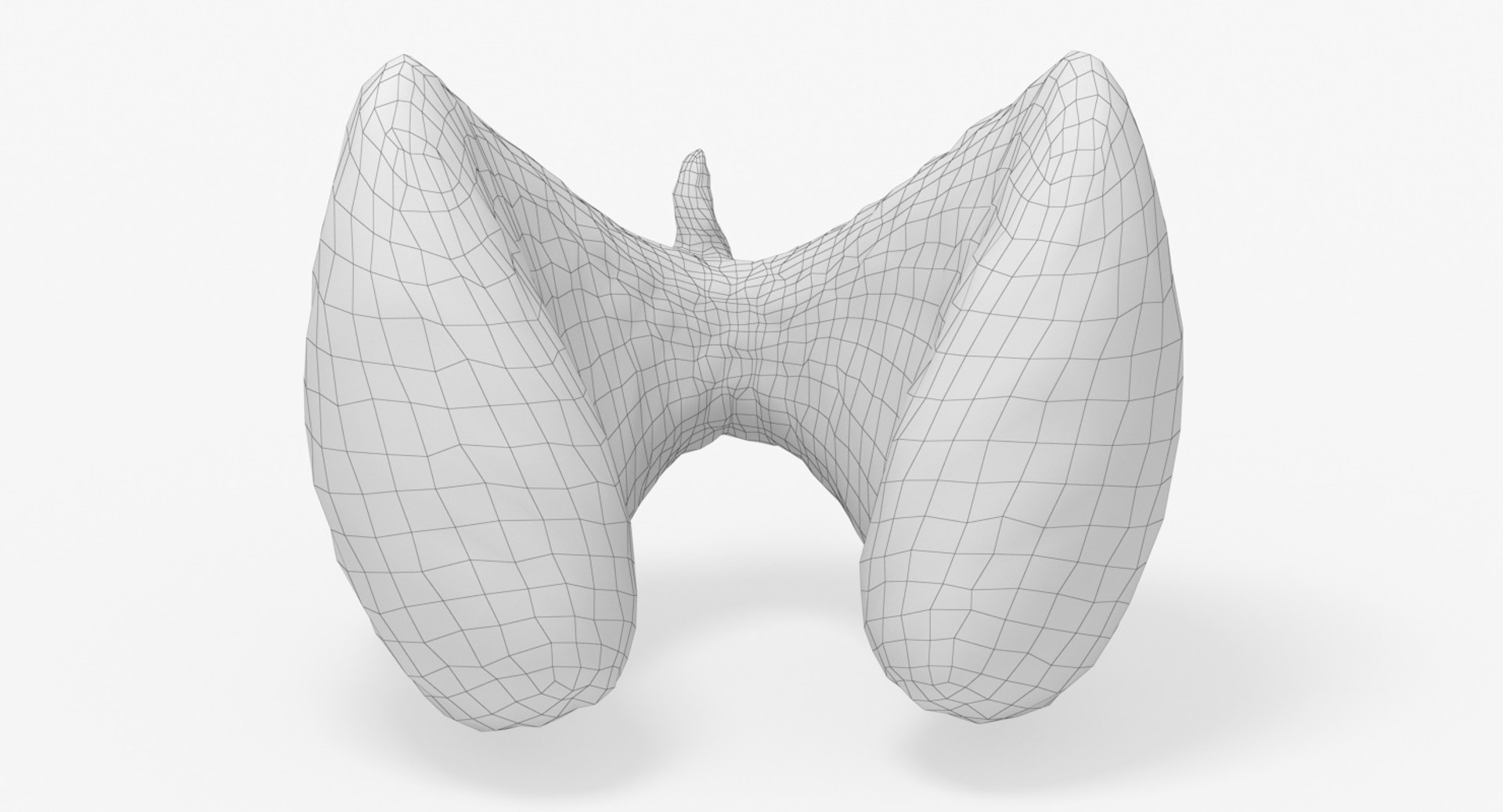 follicular cancer thyroid model https://p.turbosquid.com/ts-thumb/rC/VrYaYj/qtj0LsqC/22_front_view_wireframe/jpg/1546076951/1920x1080/fit_q87/60181fe57dd771f9ce2c315cb9cd7b58ac40d4db/22_front_view_wireframe.jpg