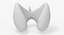 Follicular Cancer Thyroid