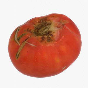 Tomato 01 low-poly 3D model