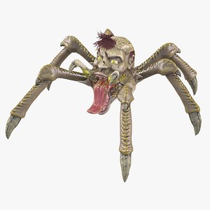 3D Spider Head