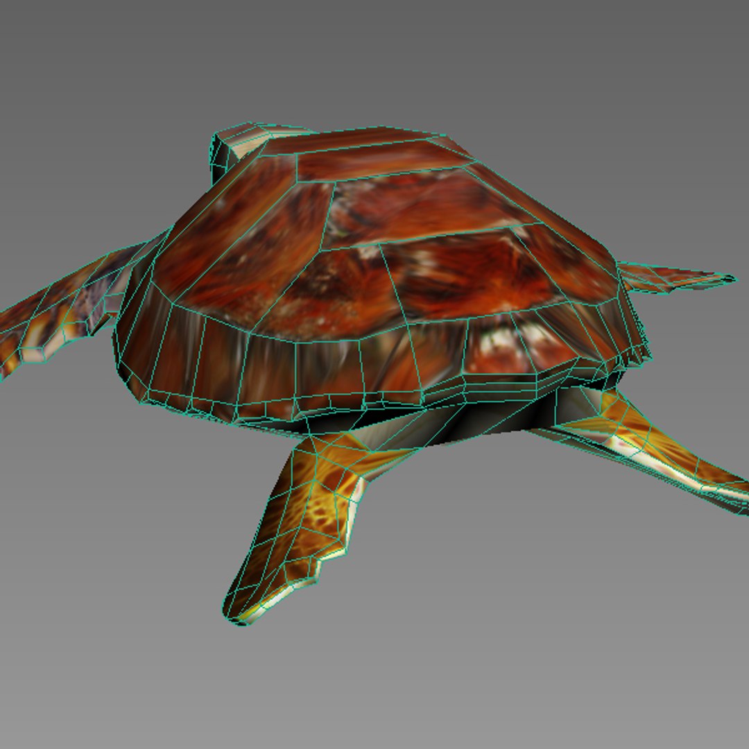3ds Max Sea Loggerhead