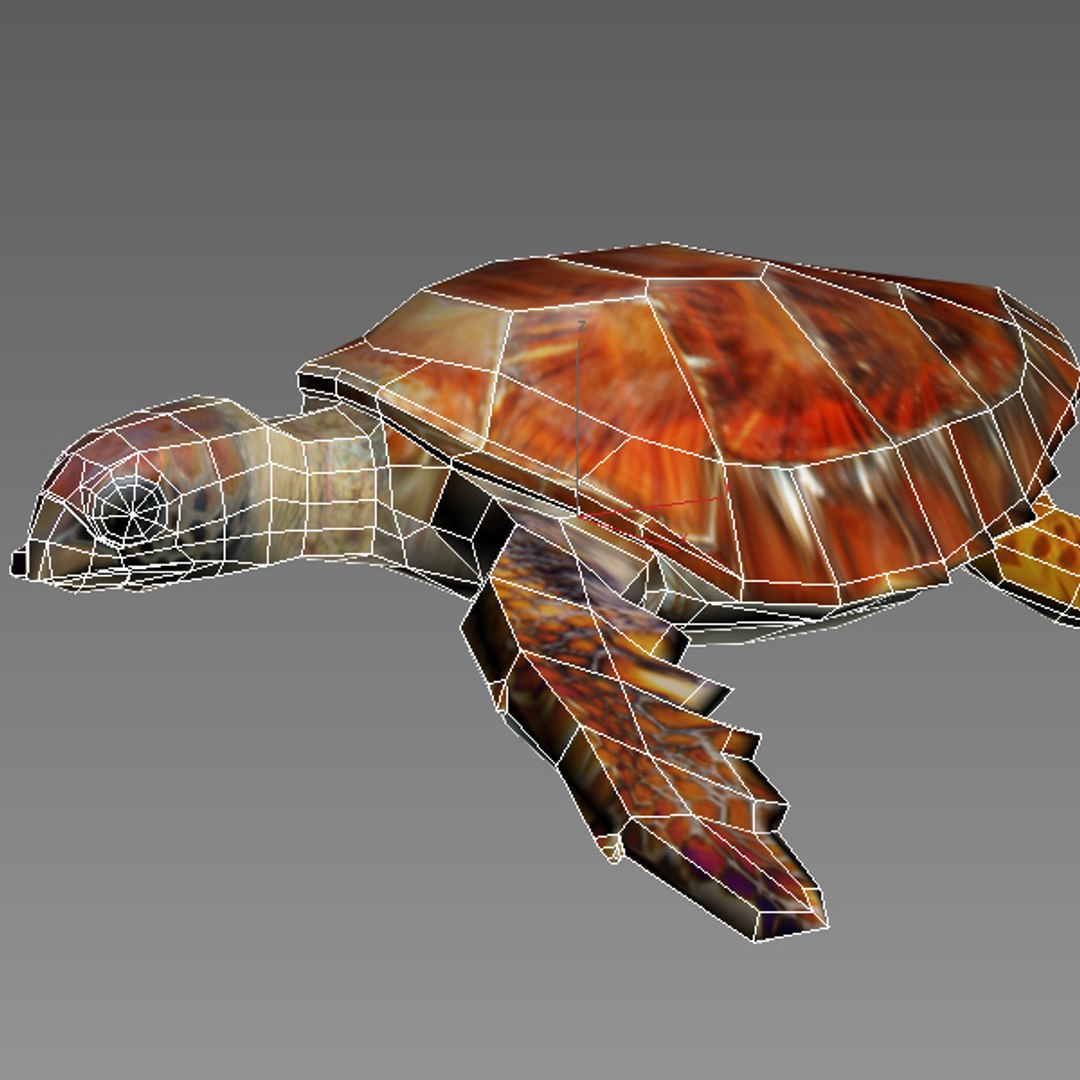 3ds Max Sea Loggerhead