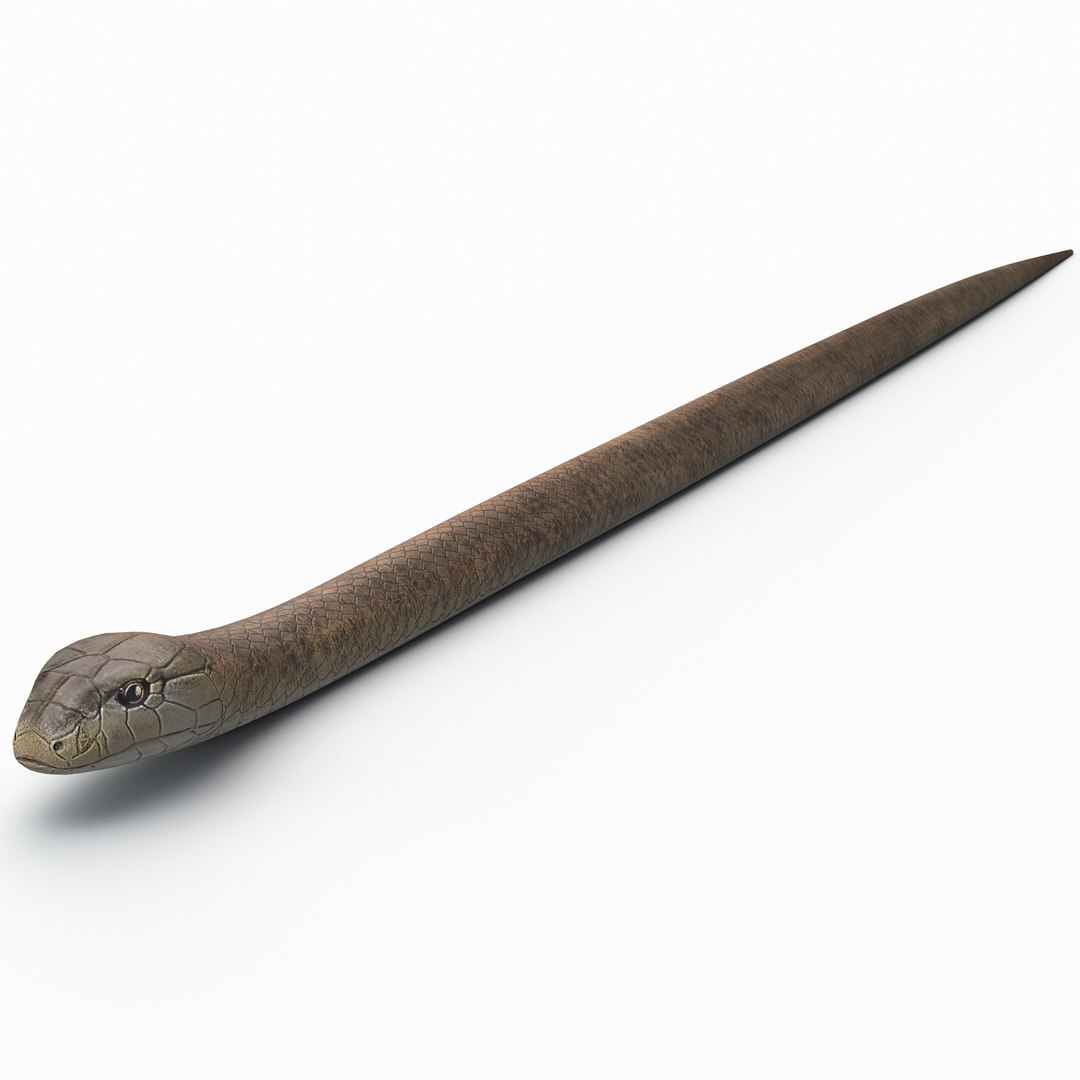 Snake Elaphe Dione 3D model preview
