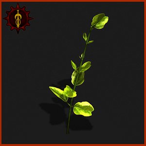 3d small plant model
