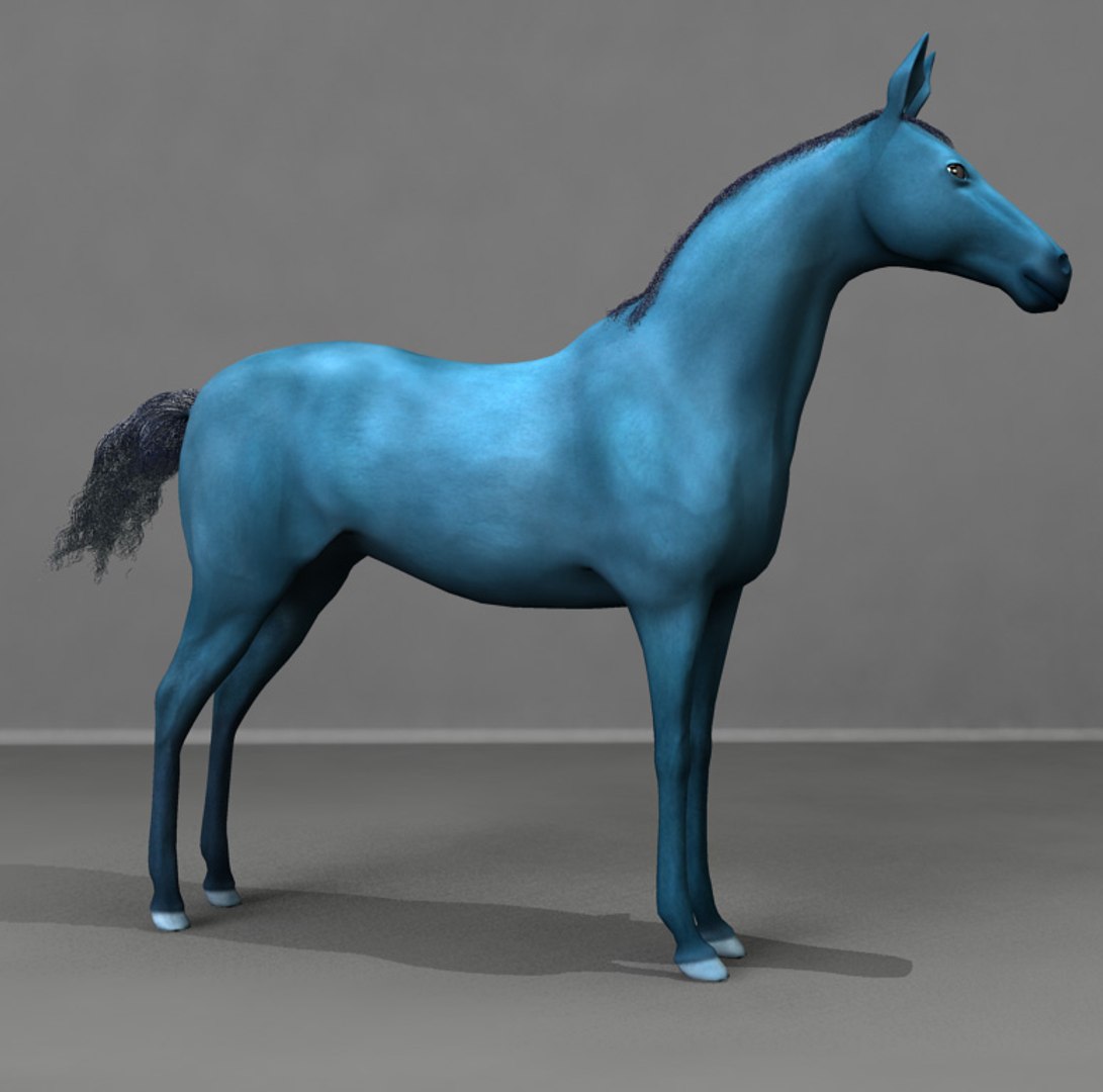 3d horse rigged animation model https://p.turbosquid.com/ts-thumb/rC/s1WRrL/3vatv6e3/horse5/jpg/1422622712/1920x1080/fit_q87/1c05f32a03780ca031a12b77131d95343de04312/horse5.jpg