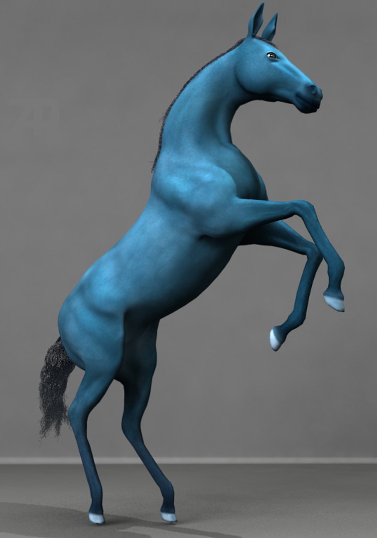 3d horse rigged animation model https://p.turbosquid.com/ts-thumb/rC/s1WRrL/OHmtaDHR/horse17/jpg/1422622712/1920x1080/fit_q87/5cc4e8049b73bd8457eb80e96d46a922fffadbd7/horse17.jpg
