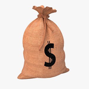 3d money bag
