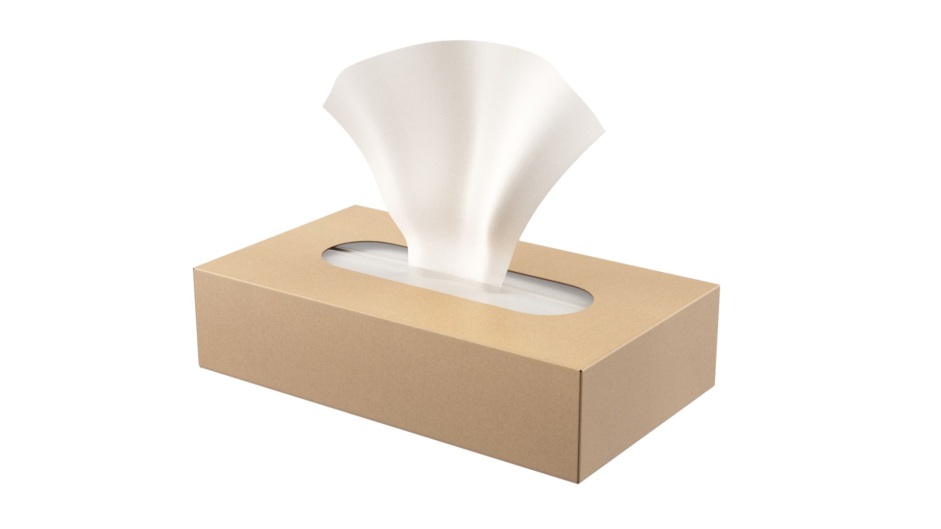 Tissue Box 3D model https://p.turbosquid.com/ts-thumb/rD/8CQB5b/dr/box_0017/jpg/1739688264/1920x1080/fit_q87/37130237d056610e129ff79a4ee284e8193893f4/box_0017.jpg